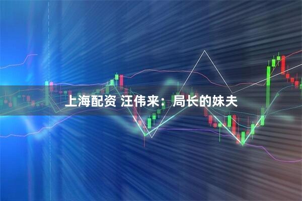 上海配资 汪伟来：局长的妹夫
